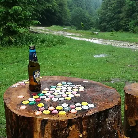 Pietricica * Dîmbovicioara