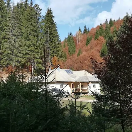 Alpesi faház Pietricica *
