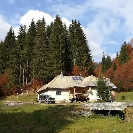 Pietricica Alpesi faház *