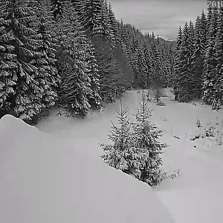 Pietricica Alpesi faház