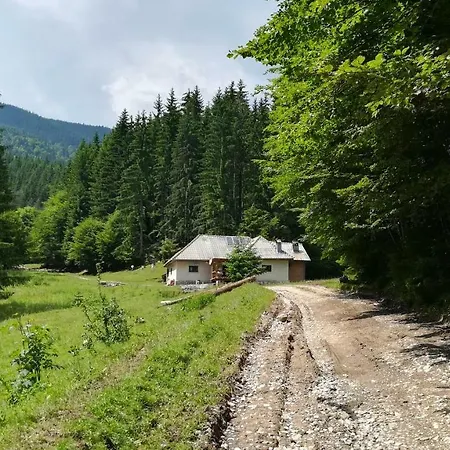 Pietricica * Dîmbovicioara