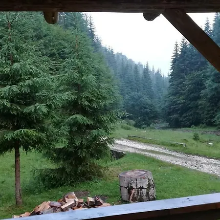 Pietricica Alpesi faház *